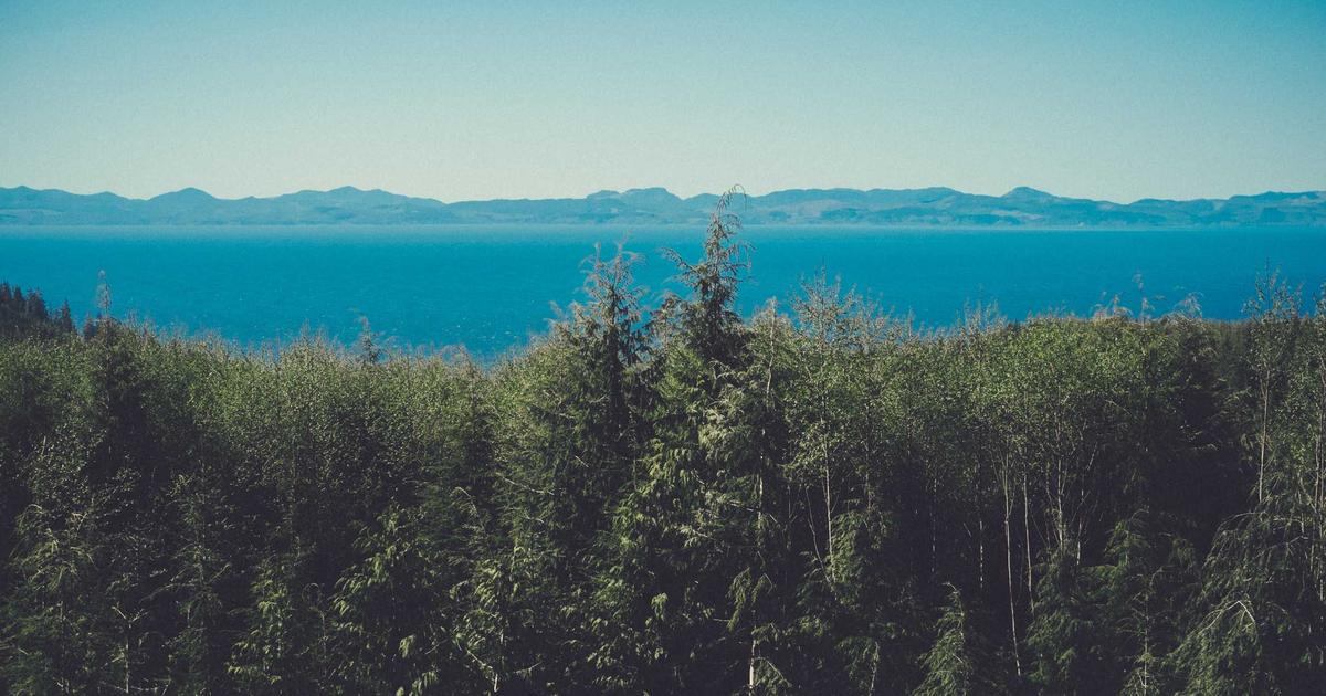 Neque officia a qui et aspernatur