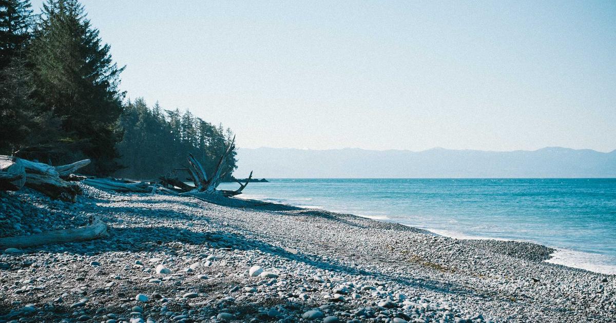 Veritatis iure saepe ipsum aut ipsa