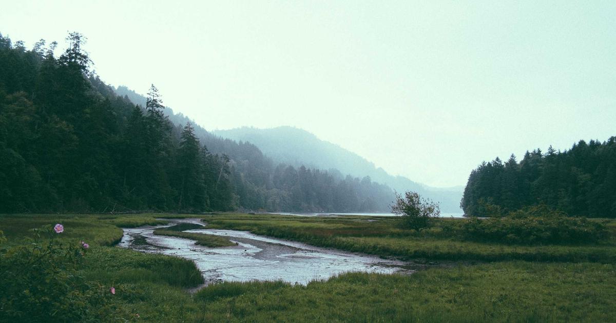 Dicta pariatur voluptas quo fugit et