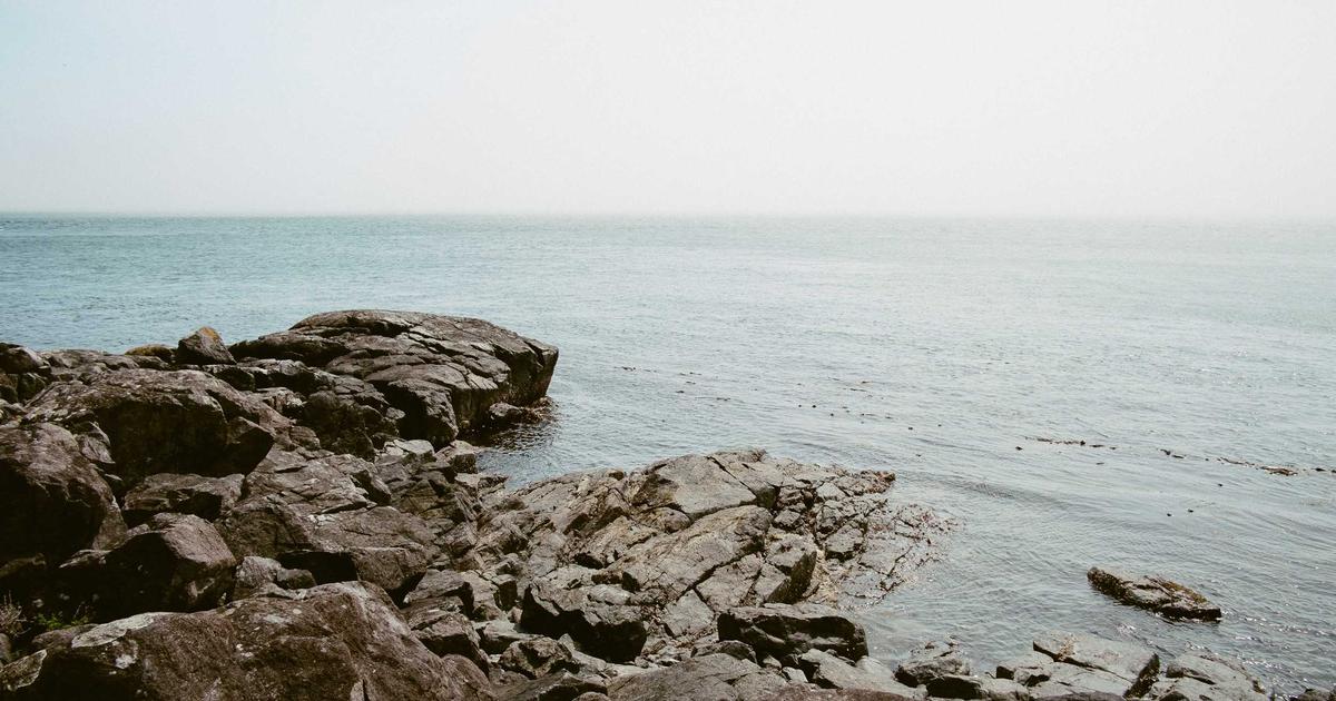 Quis eum ut aliquam et labore